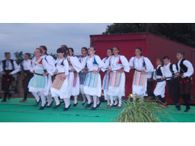 Svitac i prijatelji
